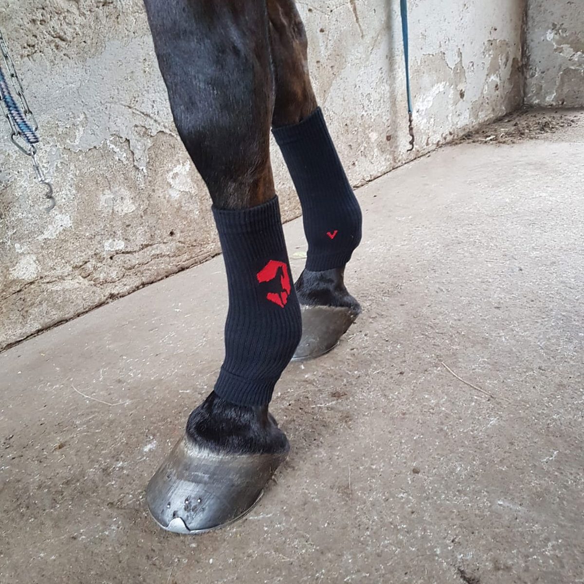 Zwei Vorderbeine eines Pferdes mit schwarzen Zeckenwächter-Stulpen im Stall